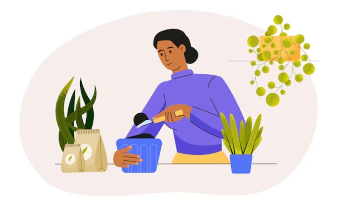 How To Care For Houseplants And Prevent Common Problems Like Yellowing Leaves